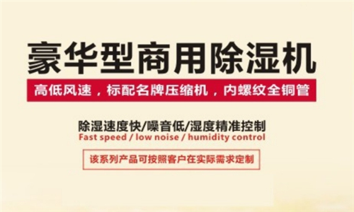 **內(nèi)工業(yè)除濕機(jī)廠家有哪些