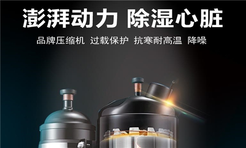 倉(cāng)庫(kù)抽濕機(jī)價(jià)格